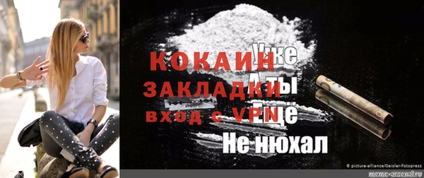 кокс Алексин