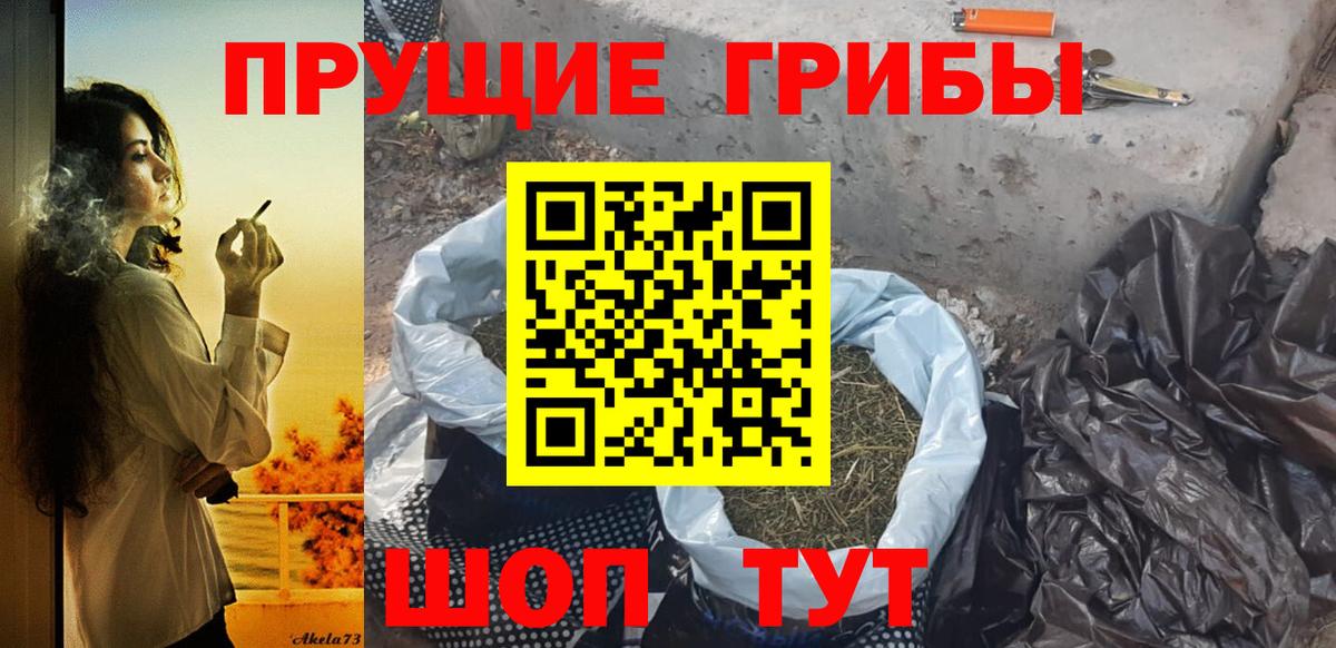 Псилоцибиновые грибы Psilocybe Челябинск
