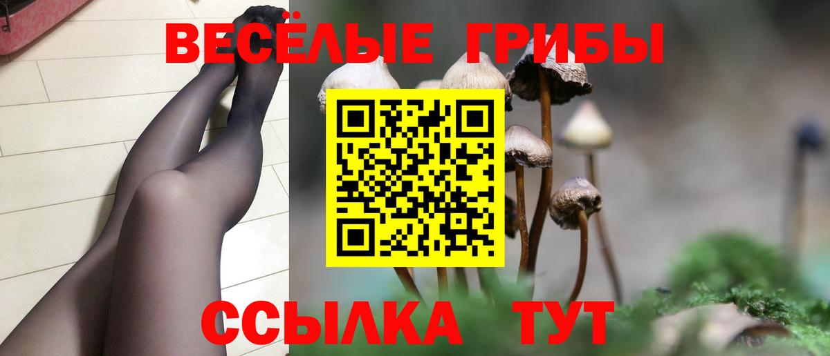 Галлюциногенные грибы Magic Shrooms  Вход с VPN  Челябинск  Псилоцибиновые грибы MAGIC MUSHROOMS 